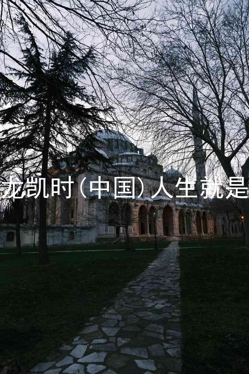 尊龙凯时(中国)人生就是搏