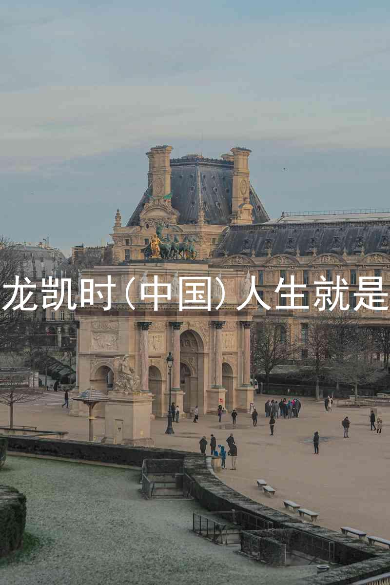 尊龙凯时(中国)人生就是搏