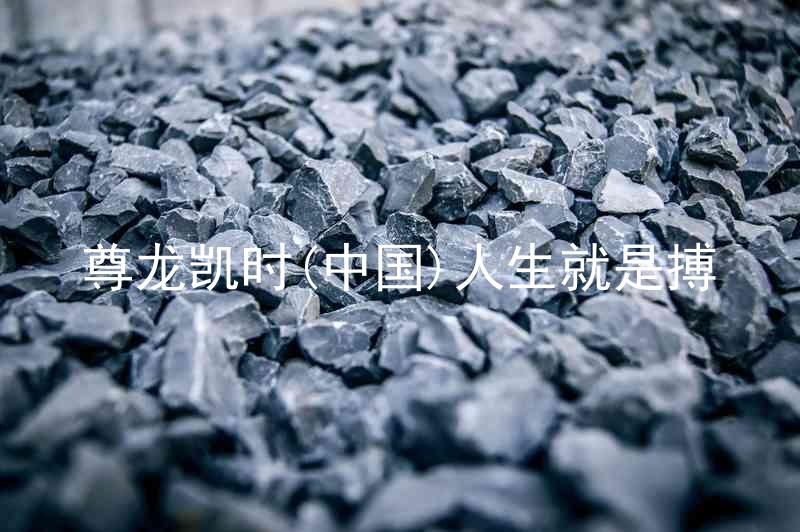 尊龙凯时(中国)人生就是搏